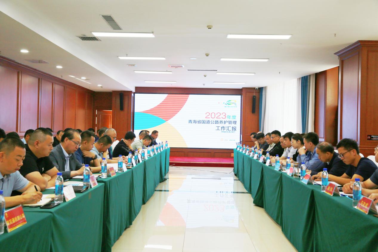 网站 网站
