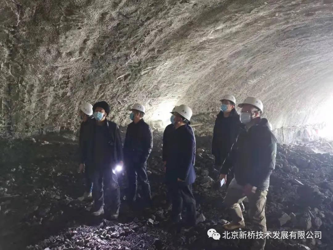 网站 网站