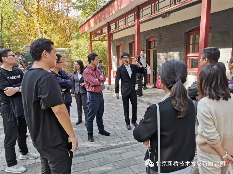 网站 网站