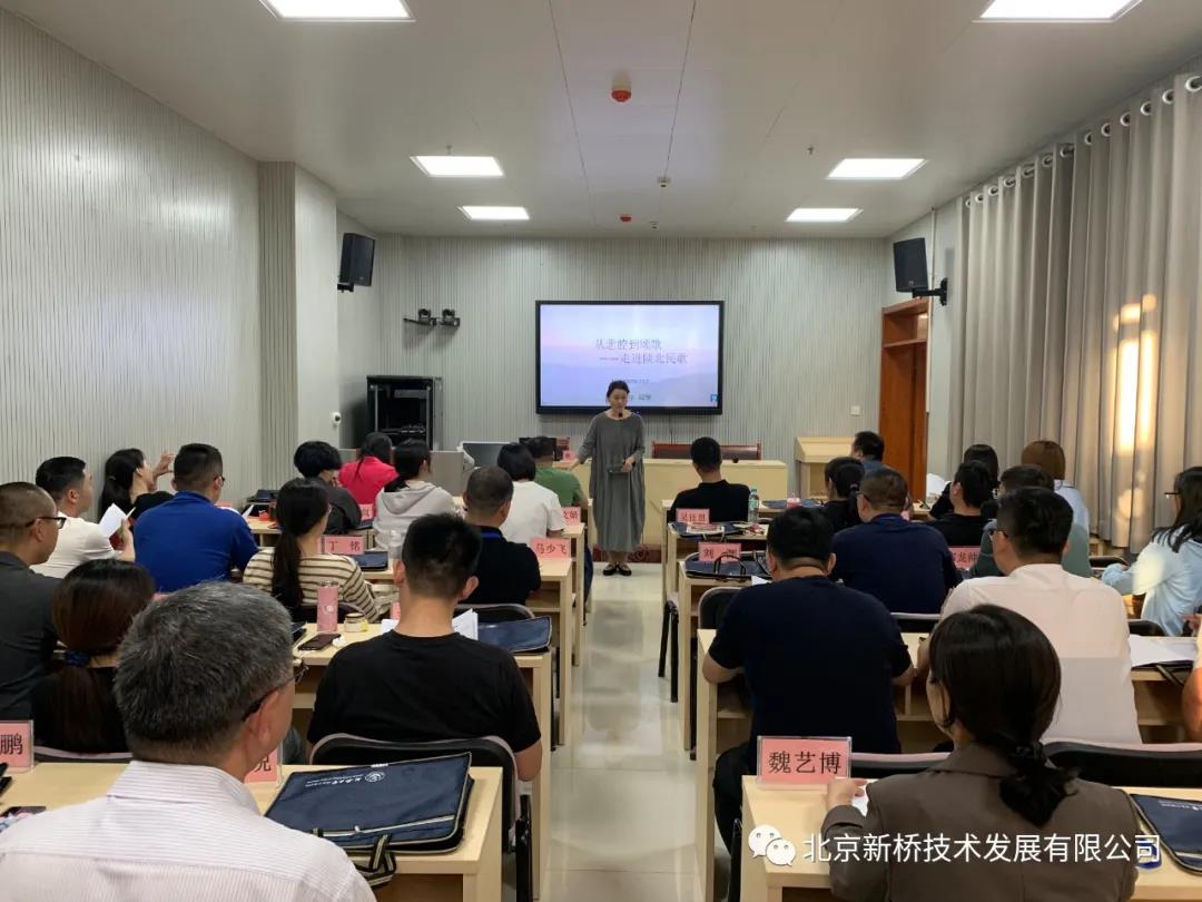 网站 网站