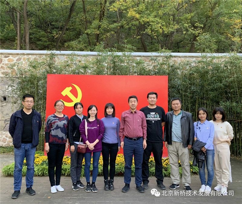 网站 网站