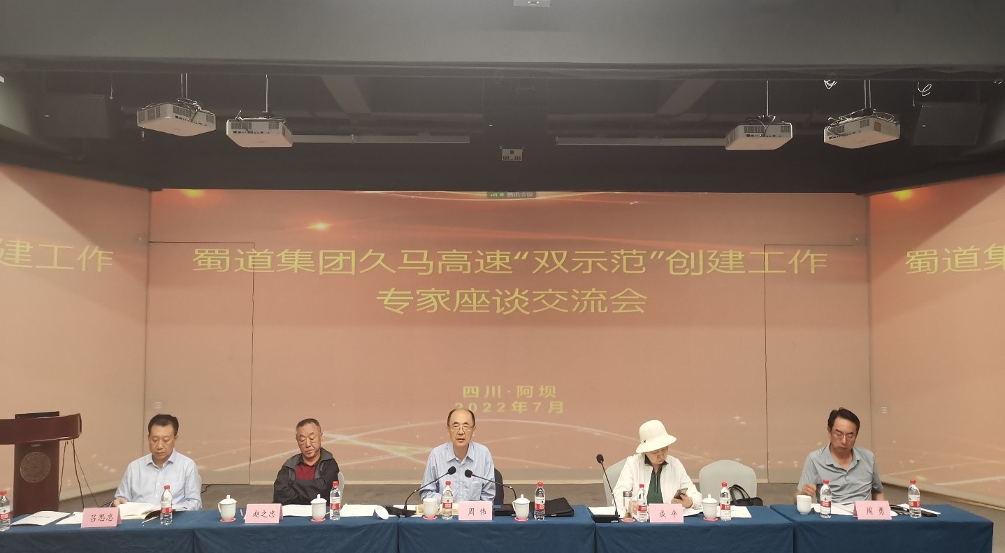 网站 网站